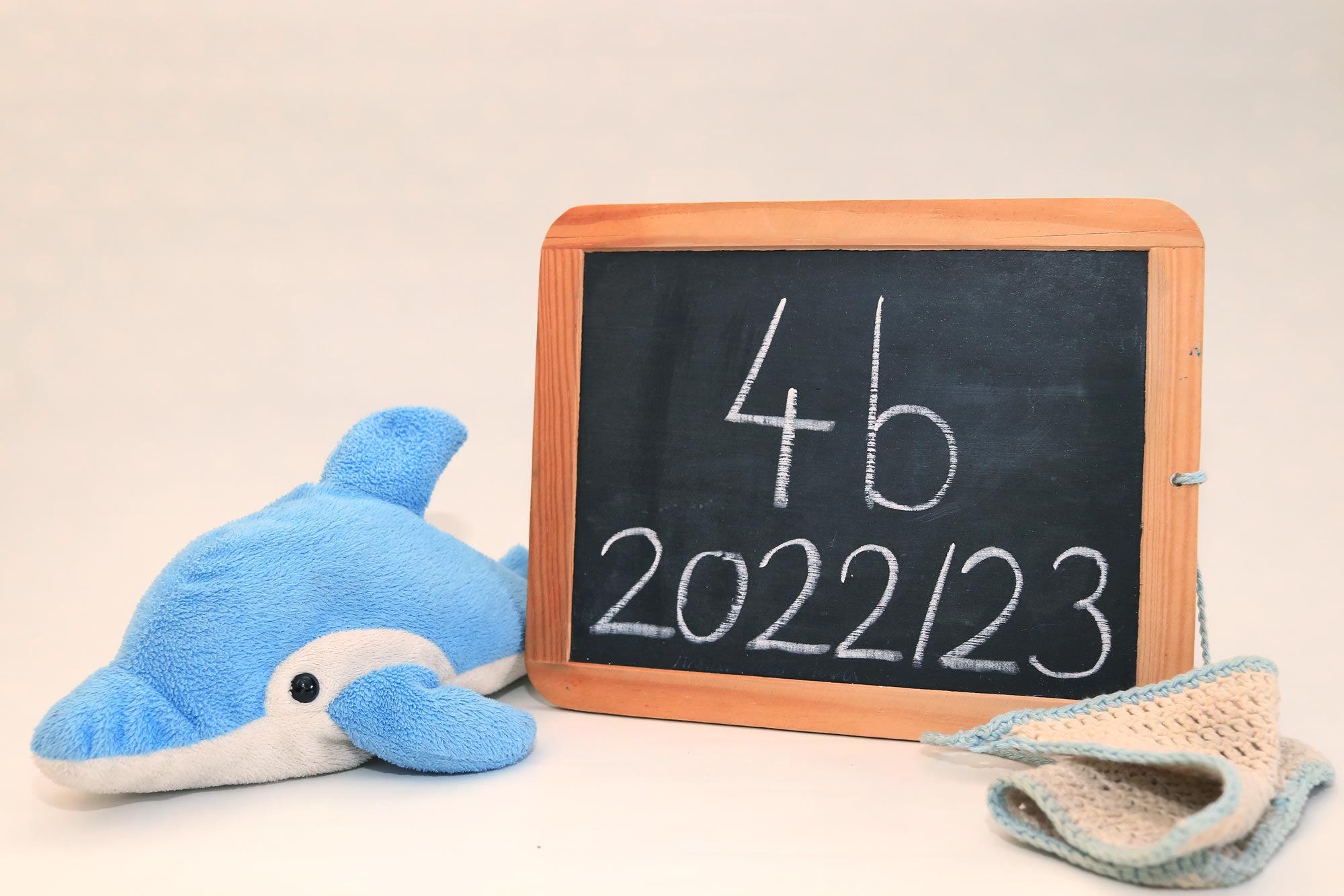 2022 Delfinklasse Klassentier 4b 